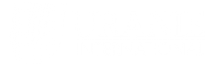 Uranie International : N°1 des barres chromées